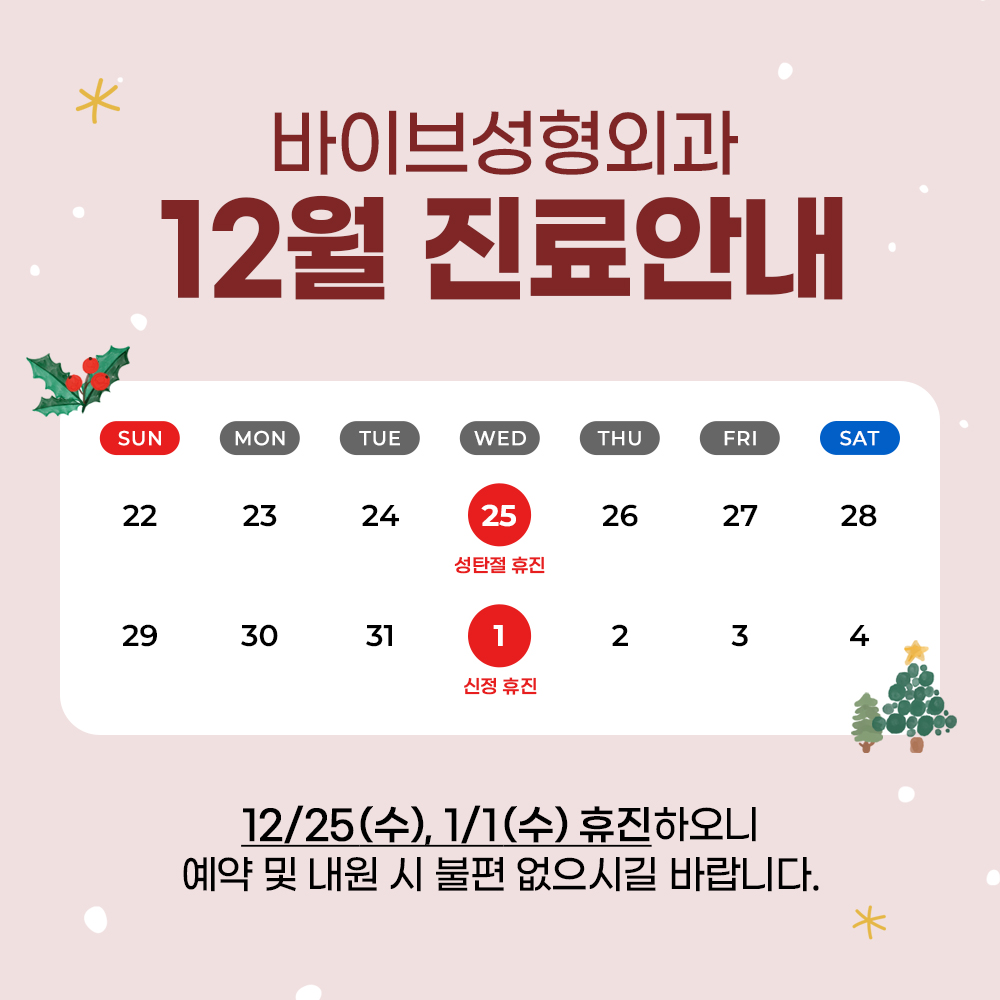 바이브 성형외과 12월 진료 일정