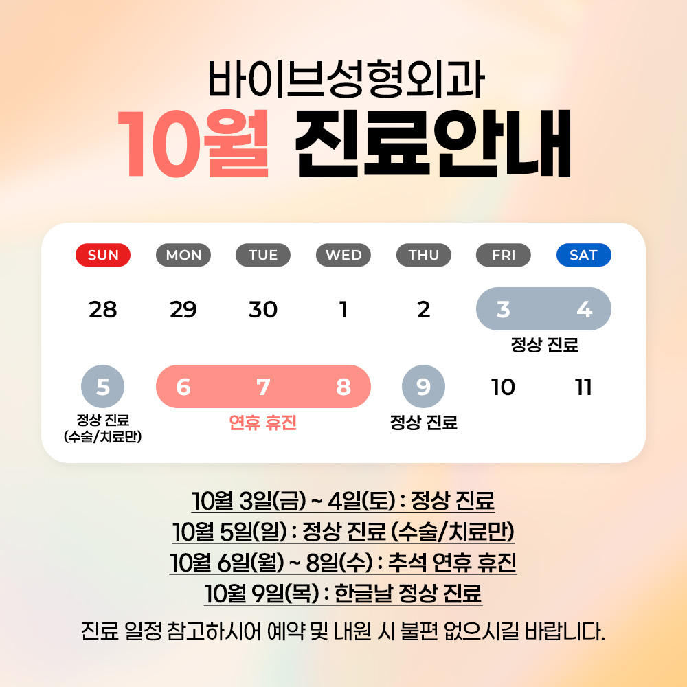 바이브 성형외과 10월 진료 일정