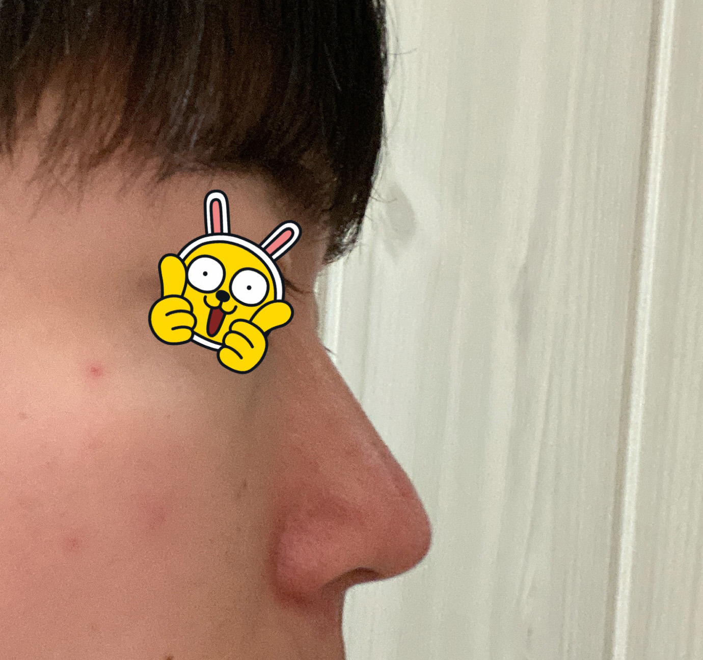 원하는 코모양이에요!